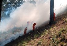 De la teoría a la práctica: éxito en ejercicio nacional de control de incendios Foto: Ejercicio nacional de control de incendios / Cortesía