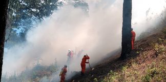Foto: Ejercicio nacional de control de incendios / Cortesía