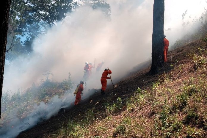 Foto: Ejercicio nacional de control de incendios / Cortesía