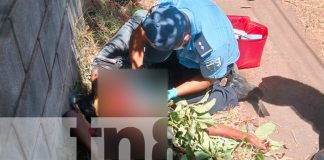 Foto: Sufre accidente grave al caer de un árbol en Masaya/TN8