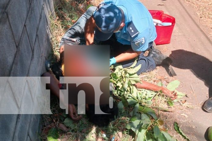 Foto: Sufre accidente grave al caer de un árbol en Masaya/TN8