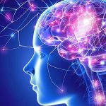 ¿Sabías que tener hijos puede proteger tu cerebro del envejecimiento? Foto: Cómo proteger al cerebro del envejecimiento /Cortesía