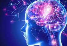 ¿Sabías que tener hijos puede proteger tu cerebro del envejecimiento? Foto: Cómo proteger al cerebro del envejecimiento /Cortesía