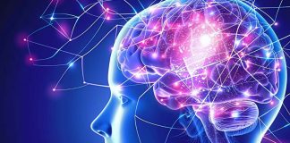 Foto: Cómo proteger al cerebro del envejecimiento /Cortesía