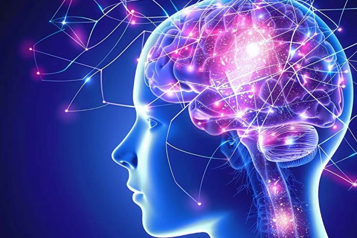 Foto: Cómo proteger al cerebro del envejecimiento /Cortesía