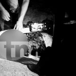 Hombre es asesinado de un escopetazo frente a su esposa y cuñado en el Caribe Sur Foto: Crimen brutal en el Caribe Sur /TN8