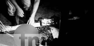 Foto: Crimen brutal en el Caribe Sur /TN8