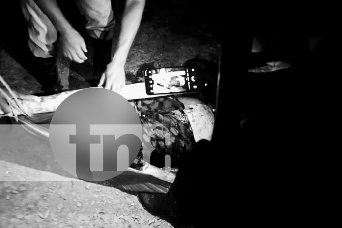 Foto: Crimen brutal en el Caribe Sur /TN8