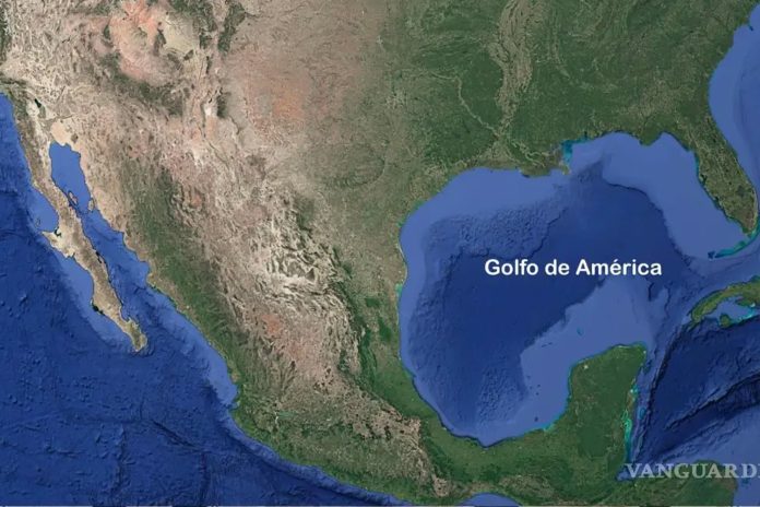 Foto: Juzgado desecha demanda contra Google /Cortesía
