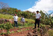 Finca «Oasis Tour» apuesta por la agroforestería y la conservación del suelo en Estelí Foto: MARENA, realizó una visita de acompañamiento a la finca “Oasis Tour”/Cortesía