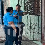 Foto: Roban en Juigalpa/TN8
