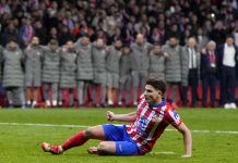atlético, madrid, uefa, champions,
