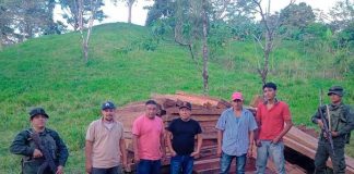 Foto: Nicaragua ataca el trafico ilegal de madera/cortesía