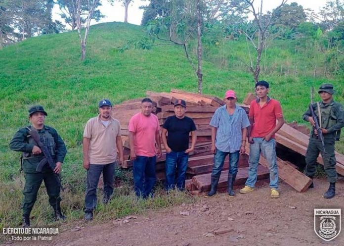 Foto: Nicaragua ataca el trafico ilegal de madera/cortesía Foto: Nicaragua ataca el trafico ilegal de madera/cortesía
