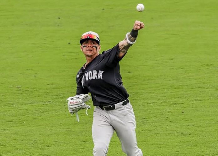 Munguia ismael, munguía, mlb,