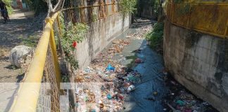 Foto: Una Managua limpia es tarea de todos, no seas inconsciente /TN8