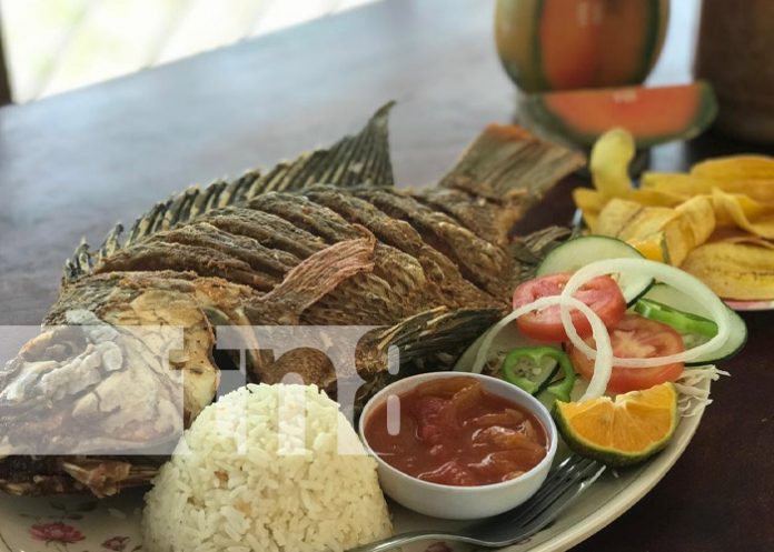 Foto: Vista al Lago, excelente lugar para conocer en Boaco / TN8 Foto: Vista al Lago, excelente lugar para conocer en Boaco / TN8