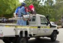 Foto: Camionetas al servicio de la salud en Nicaragua / TN8