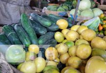 Foto: Monitoreo de canasta básica en Nicaragua / TN8