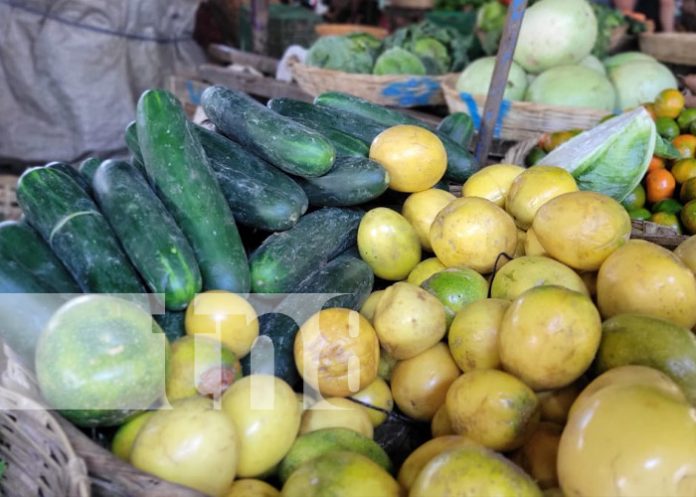 Foto: Monitoreo de canasta básica en Nicaragua / TN8 Foto: Monitoreo de canasta básica en Nicaragua / TN8
