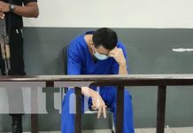 Se declara culpable de un violento robo en un negocio de celulares en Managua Foto: Culpable por robo en un negocio de celulares en Managua / TN8