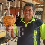 El agua de coco, la bebida natural que conquistó Managua Foto: Agua de coco, popular en Managua / TN8