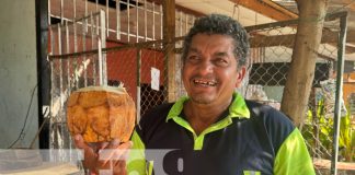 Foto: Agua de coco, popular en Managua / TN8