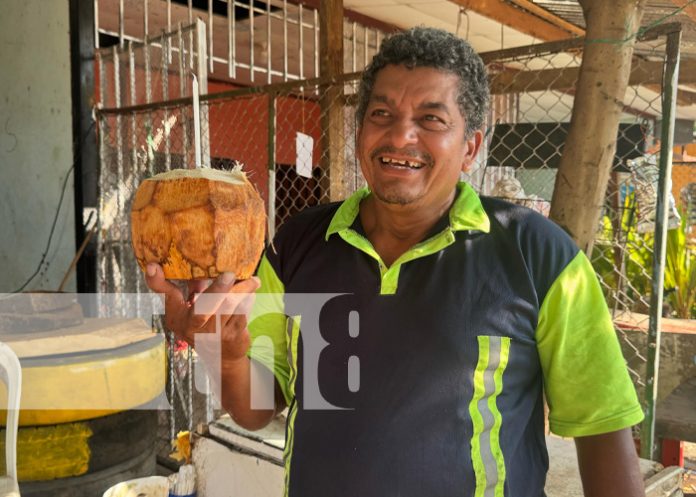 Foto: Agua de coco, popular en Managua / TN8 Foto: Agua de coco, popular en Managua / TN8