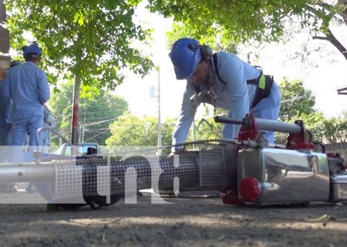 Foto: Fumigación en Managua / TN8 Foto: Fumigación en Managua / TN8