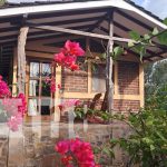 Finca Montaña Sagrada, un destino natural de la Isla de Ometepe Foto: Finca Montaña Sagrada, un lugar para conocer en Ometepe / TN8