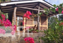Foto: Finca Montaña Sagrada, un lugar para conocer en Ometepe / TN8