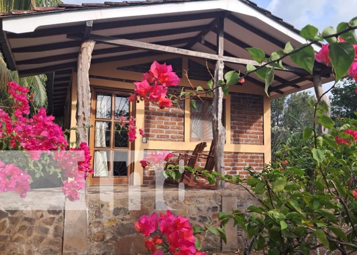 Foto: Finca Montaña Sagrada, un lugar para conocer en Ometepe / TN8 Foto: Finca Montaña Sagrada, un lugar para conocer en Ometepe / TN8