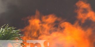 Foto: Grandes llamas por incendio en una fábrica de puros en Estelí / TN8