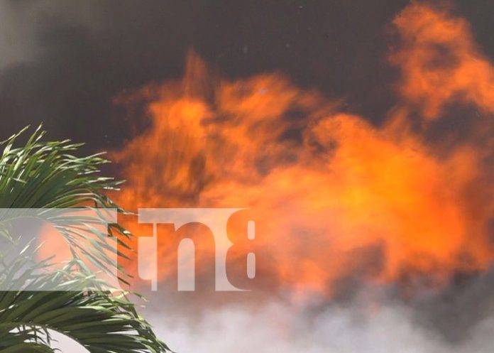 Foto: Grandes llamas por incendio en una fábrica de puros en Estelí / TN8 Foto: Grandes llamas por incendio en una fábrica de puros en Estelí / TN8