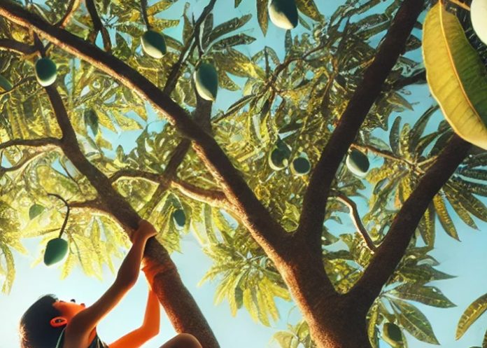 Foto: Niño trepó árbol y sufrió caída mortal en Chinandega