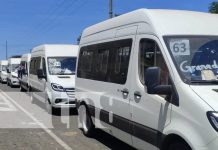Foto: Nuevos microbuses para Granada / TN8