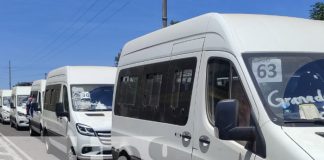 Foto: Nuevos microbuses para Granada / TN8