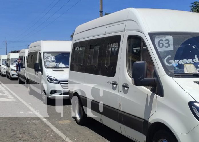 Foto: Nuevos microbuses para Granada / TN8