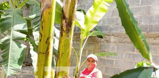 Foto: Agricultura familiar con Miriam, mujer emprendedora de Villa El Carmen / TN8