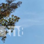 Nicaragua vivirá una semana de intenso calor: temperaturas de hasta 40 grados Foto: Pronóstico de altas temperaturas para esta semana en Nicaragua / TN8