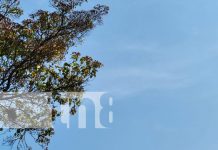 Nicaragua vivirá una semana de intenso calor: temperaturas de hasta 40 grados Foto: Pronóstico de altas temperaturas para esta semana en Nicaragua / TN8