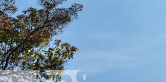 Foto: Pronóstico de altas temperaturas para esta semana en Nicaragua / TN8