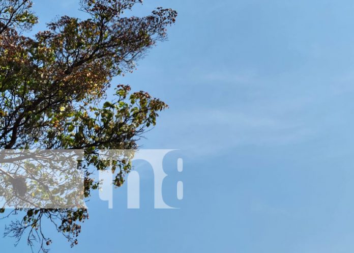 Foto: Pronóstico de altas temperaturas para esta semana en Nicaragua / TN8