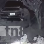 ¡Barbaridad! Ladrón roba batería de vehículo en Praderas del Doral, Managua Foto: Ladrón de batería de vehículo en Praderas del Doral, Managua / TN8