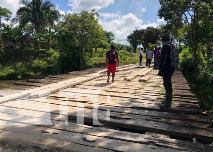Foto: Rehabilitación del puente Usupun, mejores accesos en comunidades del Caribe Norte / TN8 Foto: Rehabilitación del puente Usupun, mejores accesos en comunidades del Caribe Norte / TN8