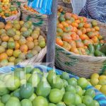 Mercados ofrecen variedad de frutas para combatir el bochorno Foto: Frutas de verano en los mercados de Managua / TN8