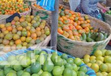 Foto: Frutas de verano en los mercados de Managua / TN8