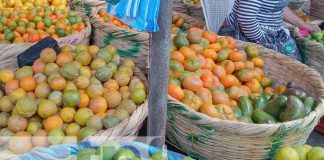 Foto: Frutas de verano en los mercados de Managua / TN8