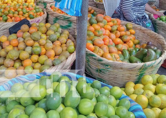 Foto: Frutas de verano en los mercados de Managua / TN8 Foto: Frutas de verano en los mercados de Managua / TN8