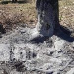 Violencia diabólica en Chinandega: Niña es asesinada y quemada por familiar Foto: Violencia extrema y crimen de odio en Chinandega / TN8